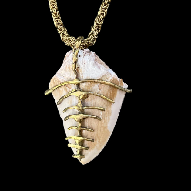Megalodone Shark tooth bronce pendant bones design